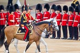 Trooping the Colour 2014.
Horse Guards Parade, Westminster,
London SW1A,

United Kingdom,
on 14 June 2014 at 11:05, image #419