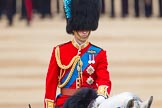 Trooping the Colour 2014.
Horse Guards Parade, Westminster,
London SW1A,

United Kingdom,
on 14 June 2014 at 11:07, image #435