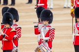 Trooping the Colour 2014.
Horse Guards Parade, Westminster,
London SW1A,

United Kingdom,
on 14 June 2014 at 11:12, image #459