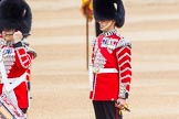 Trooping the Colour 2014.
Horse Guards Parade, Westminster,
London SW1A,

United Kingdom,
on 14 June 2014 at 11:12, image #460