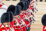 Trooping the Colour 2014.
Horse Guards Parade, Westminster,
London SW1A,

United Kingdom,
on 14 June 2014 at 11:15, image #485