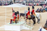 Trooping the Colour 2014.
Horse Guards Parade, Westminster,
London SW1A,

United Kingdom,
on 14 June 2014 at 11:30, image #580