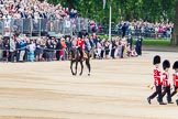 Trooping the Colour 2014.
Horse Guards Parade, Westminster,
London SW1A,

United Kingdom,
on 14 June 2014 at 11:33, image #591