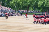 Trooping the Colour 2014.
Horse Guards Parade, Westminster,
London SW1A,

United Kingdom,
on 14 June 2014 at 11:33, image #592