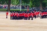 Trooping the Colour 2014.
Horse Guards Parade, Westminster,
London SW1A,

United Kingdom,
on 14 June 2014 at 11:33, image #594