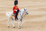 Trooping the Colour 2014.
Horse Guards Parade, Westminster,
London SW1A,

United Kingdom,
on 14 June 2014 at 11:40, image #661