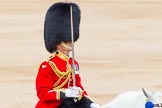 Trooping the Colour 2014.
Horse Guards Parade, Westminster,
London SW1A,

United Kingdom,
on 14 June 2014 at 11:41, image #664