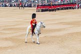 Trooping the Colour 2014.
Horse Guards Parade, Westminster,
London SW1A,

United Kingdom,
on 14 June 2014 at 11:41, image #665