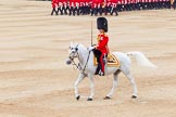 Trooping the Colour 2014.
Horse Guards Parade, Westminster,
London SW1A,

United Kingdom,
on 14 June 2014 at 11:48, image #695