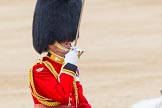 Trooping the Colour 2014.
Horse Guards Parade, Westminster,
London SW1A,

United Kingdom,
on 14 June 2014 at 11:48, image #698
