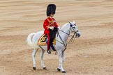 Trooping the Colour 2014.
Horse Guards Parade, Westminster,
London SW1A,

United Kingdom,
on 14 June 2014 at 11:48, image #699