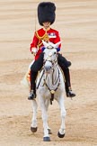 Trooping the Colour 2014.
Horse Guards Parade, Westminster,
London SW1A,

United Kingdom,
on 14 June 2014 at 11:49, image #700
