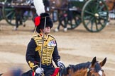 Trooping the Colour 2014.
Horse Guards Parade, Westminster,
London SW1A,

United Kingdom,
on 14 June 2014 at 11:55, image #747