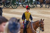 Trooping the Colour 2014.
Horse Guards Parade, Westminster,
London SW1A,

United Kingdom,
on 14 June 2014 at 11:55, image #748