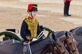 Trooping the Colour 2014.
Horse Guards Parade, Westminster,
London SW1A,

United Kingdom,
on 14 June 2014 at 11:56, image #760