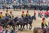 Trooping the Colour 2014.
Horse Guards Parade, Westminster,
London SW1A,

United Kingdom,
on 14 June 2014 at 11:56, image #761