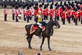 Trooping the Colour 2014.
Horse Guards Parade, Westminster,
London SW1A,

United Kingdom,
on 14 June 2014 at 11:57, image #770