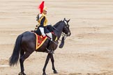 Trooping the Colour 2014.
Horse Guards Parade, Westminster,
London SW1A,

United Kingdom,
on 14 June 2014 at 11:57, image #776