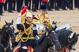 Trooping the Colour 2014.
Horse Guards Parade, Westminster,
London SW1A,

United Kingdom,
on 14 June 2014 at 11:59, image #791