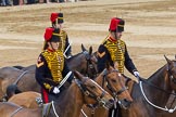 Trooping the Colour 2014.
Horse Guards Parade, Westminster,
London SW1A,

United Kingdom,
on 14 June 2014 at 12:00, image #803