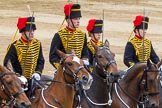 Trooping the Colour 2014.
Horse Guards Parade, Westminster,
London SW1A,

United Kingdom,
on 14 June 2014 at 12:00, image #804