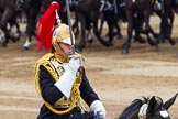 Trooping the Colour 2014.
Horse Guards Parade, Westminster,
London SW1A,

United Kingdom,
on 14 June 2014 at 12:01, image #816