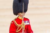 Trooping the Colour 2014.
Horse Guards Parade, Westminster,
London SW1A,

United Kingdom,
on 14 June 2014 at 12:10, image #878