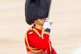 Trooping the Colour 2014.
Horse Guards Parade, Westminster,
London SW1A,

United Kingdom,
on 14 June 2014 at 12:10, image #879
