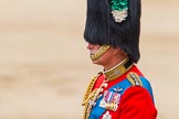 Trooping the Colour 2014.
Horse Guards Parade, Westminster,
London SW1A,

United Kingdom,
on 14 June 2014 at 12:12, image #894