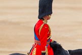 Trooping the Colour 2014.
Horse Guards Parade, Westminster,
London SW1A,

United Kingdom,
on 14 June 2014 at 12:13, image #902