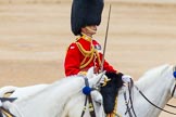 Trooping the Colour 2014.
Horse Guards Parade, Westminster,
London SW1A,

United Kingdom,
on 14 June 2014 at 12:13, image #903