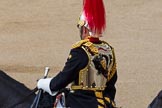 Trooping the Colour 2014.
Horse Guards Parade, Westminster,
London SW1A,

United Kingdom,
on 14 June 2014 at 12:15, image #910