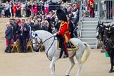 Trooping the Colour 2014.
Horse Guards Parade, Westminster,
London SW1A,

United Kingdom,
on 14 June 2014 at 12:15, image #912