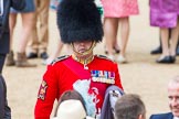 Trooping the Colour 2014.
Horse Guards Parade, Westminster,
London SW1A,

United Kingdom,
on 14 June 2014 at 12:29, image #959