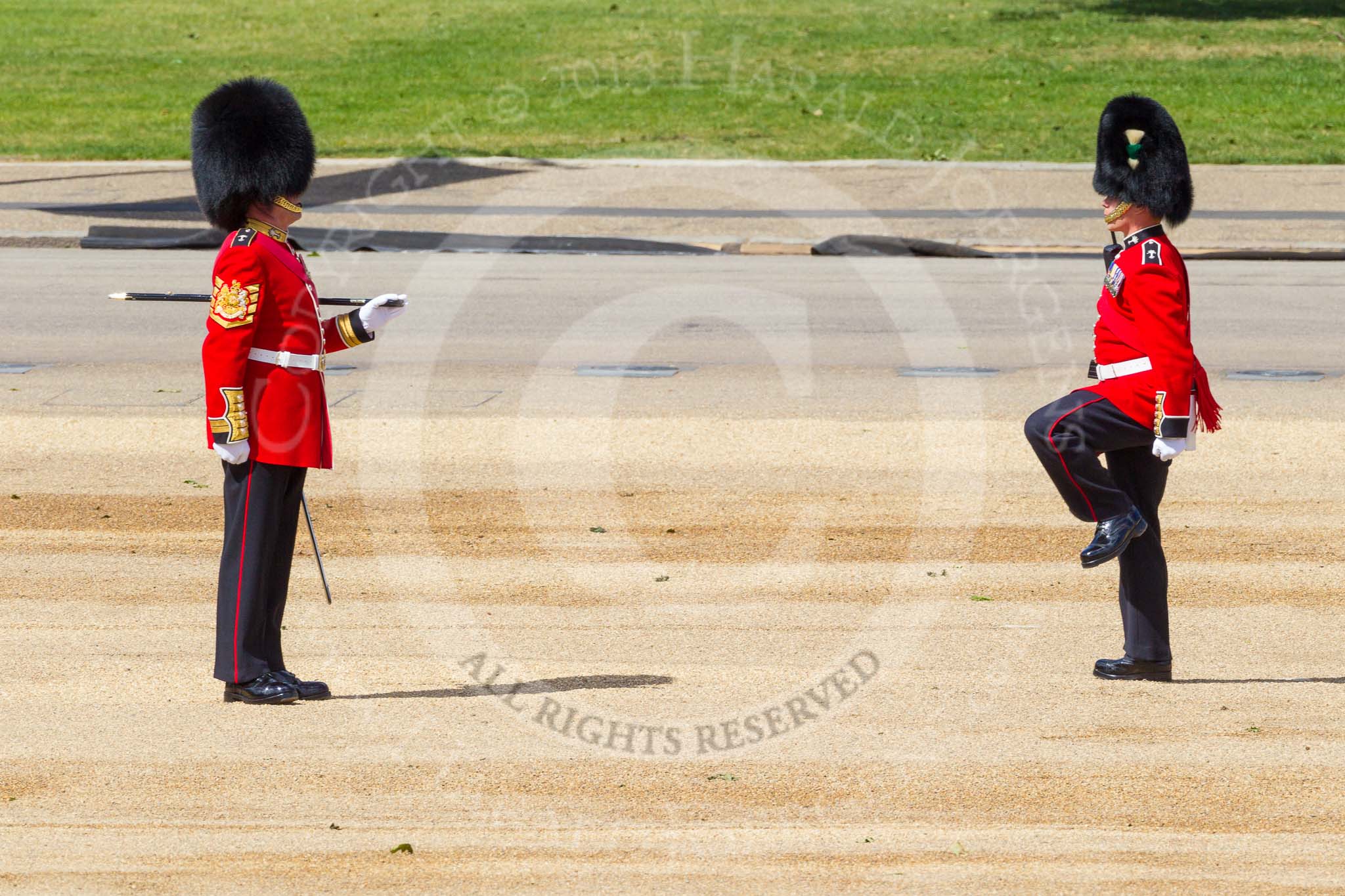 The Colonel's Review 2015.
Horse Guards Parade, Westminster,
London,

United Kingdom,
on 06 June 2015 at 10:19, image #46