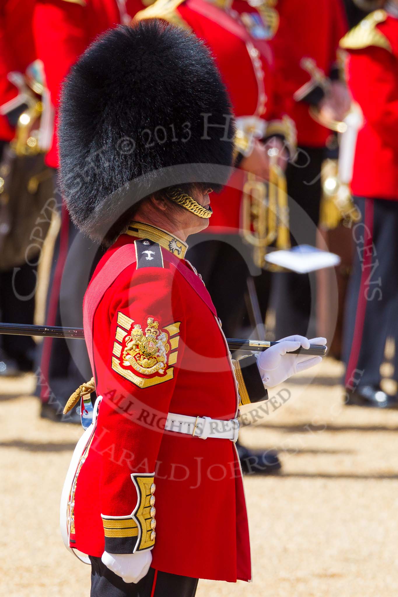 The Colonel's Review 2015.
Horse Guards Parade, Westminster,
London,

United Kingdom,
on 06 June 2015 at 10:20, image #48