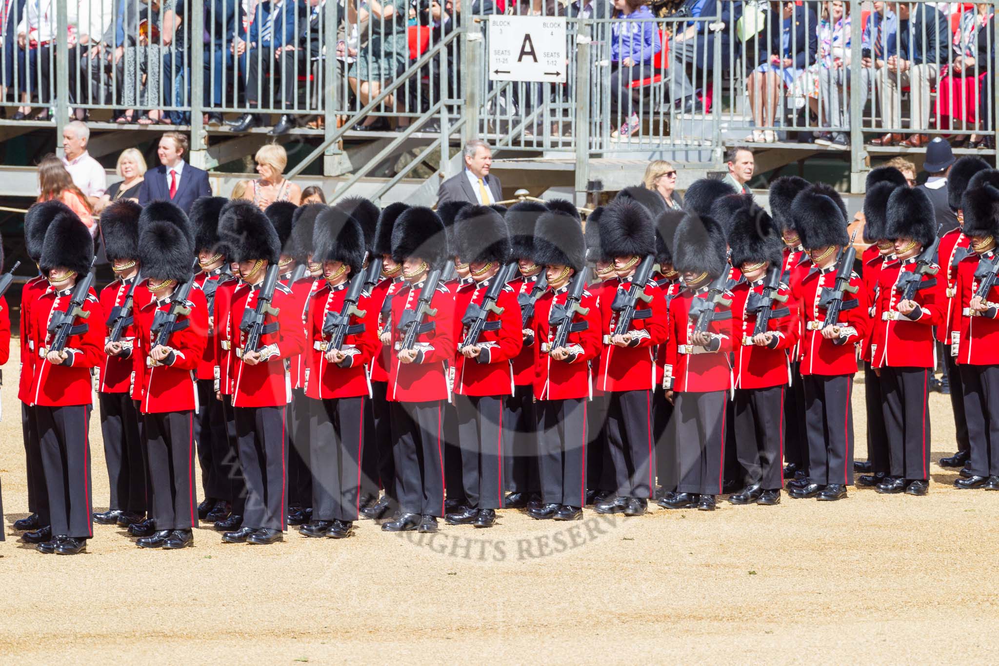 The Colonel's Review 2015.
Horse Guards Parade, Westminster,
London,

United Kingdom,
on 06 June 2015 at 10:26, image #59