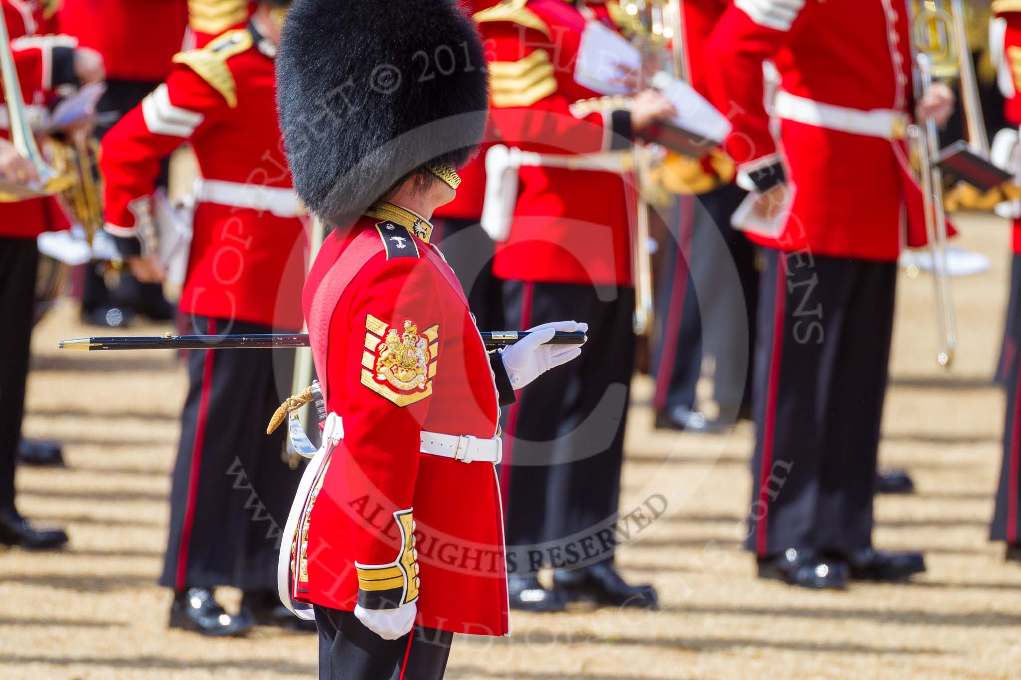 The Colonel's Review 2015.
Horse Guards Parade, Westminster,
London,

United Kingdom,
on 06 June 2015 at 10:31, image #91