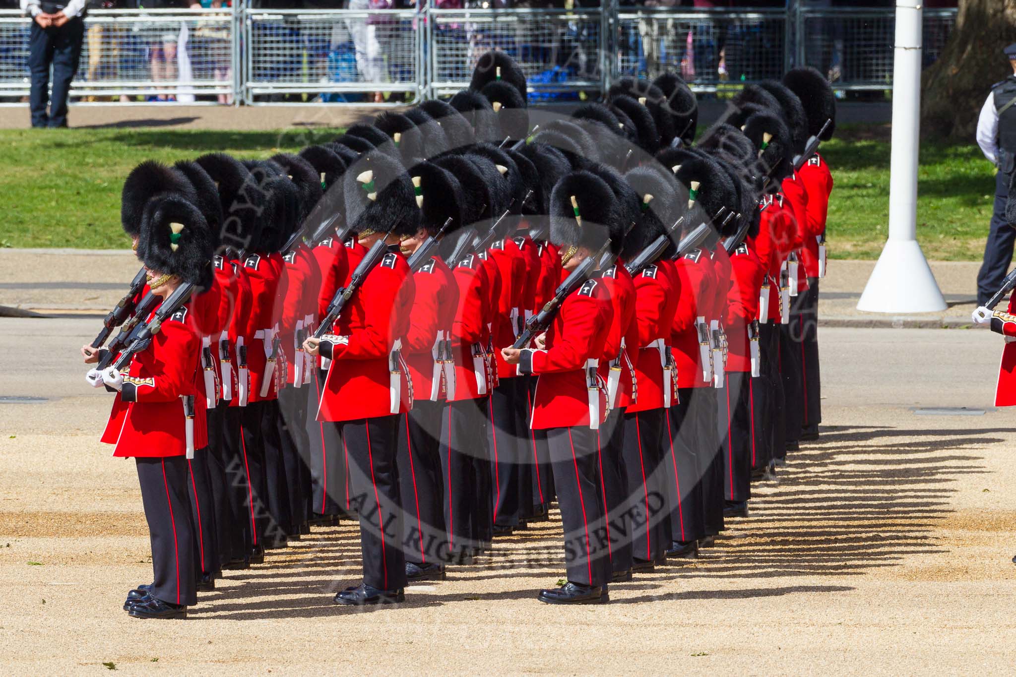 The Colonel's Review 2015.
Horse Guards Parade, Westminster,
London,

United Kingdom,
on 06 June 2015 at 10:32, image #95