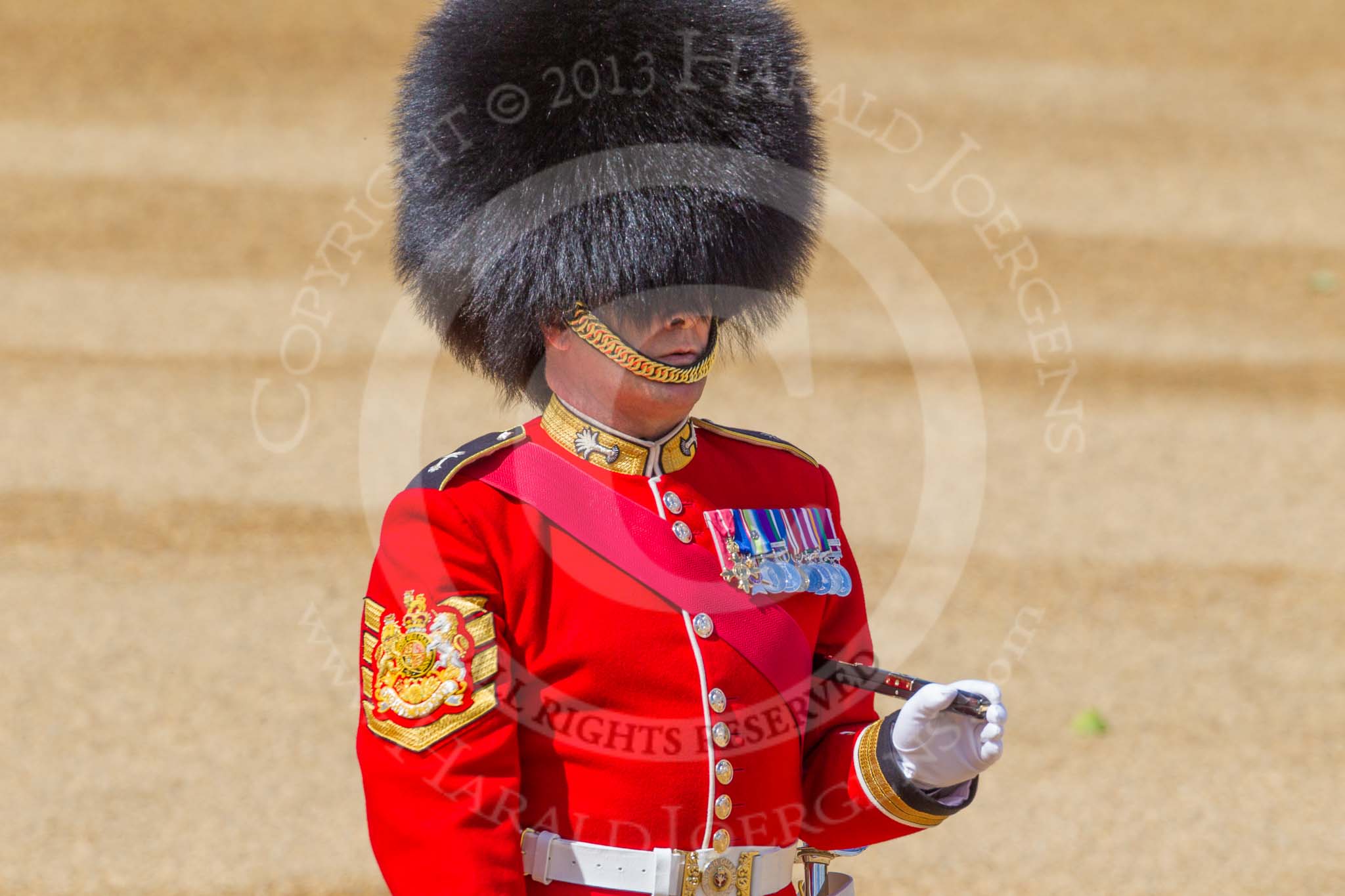 The Colonel's Review 2015.
Horse Guards Parade, Westminster,
London,

United Kingdom,
on 06 June 2015 at 10:33, image #99