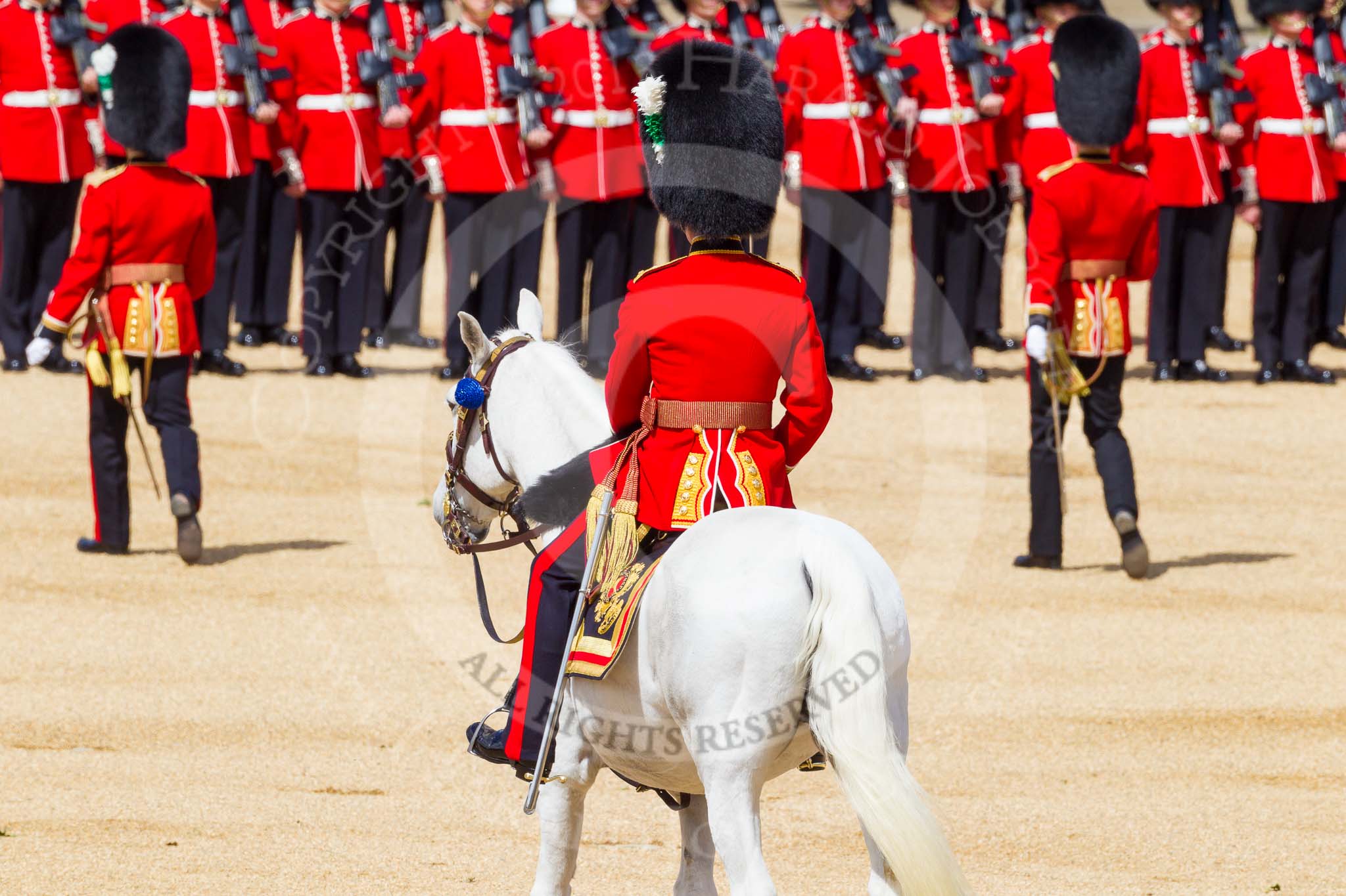 The Colonel's Review 2015.
Horse Guards Parade, Westminster,
London,

United Kingdom,
on 06 June 2015 at 10:41, image #130