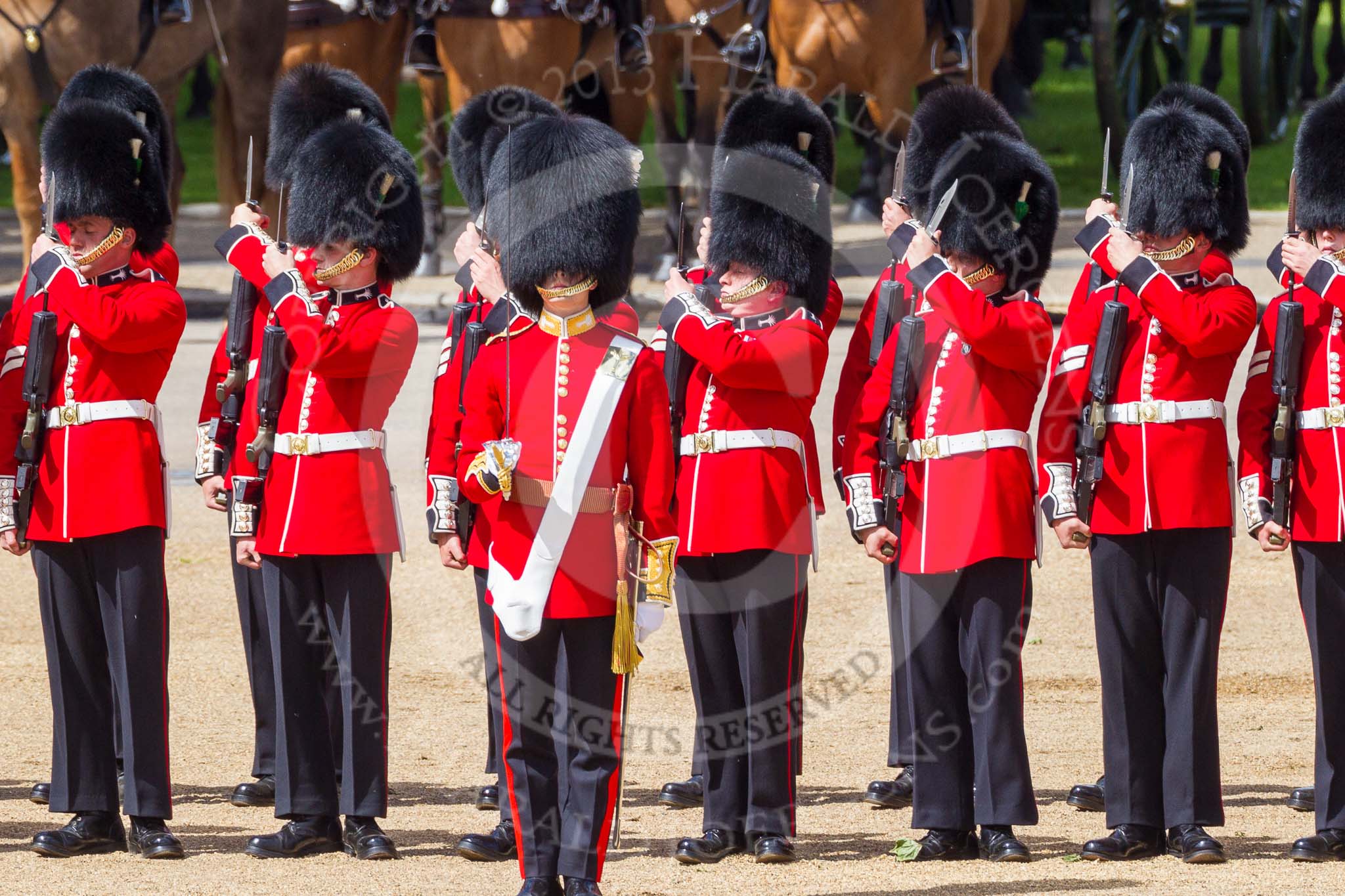 The Colonel's Review 2015.
Horse Guards Parade, Westminster,
London,

United Kingdom,
on 06 June 2015 at 10:43, image #133