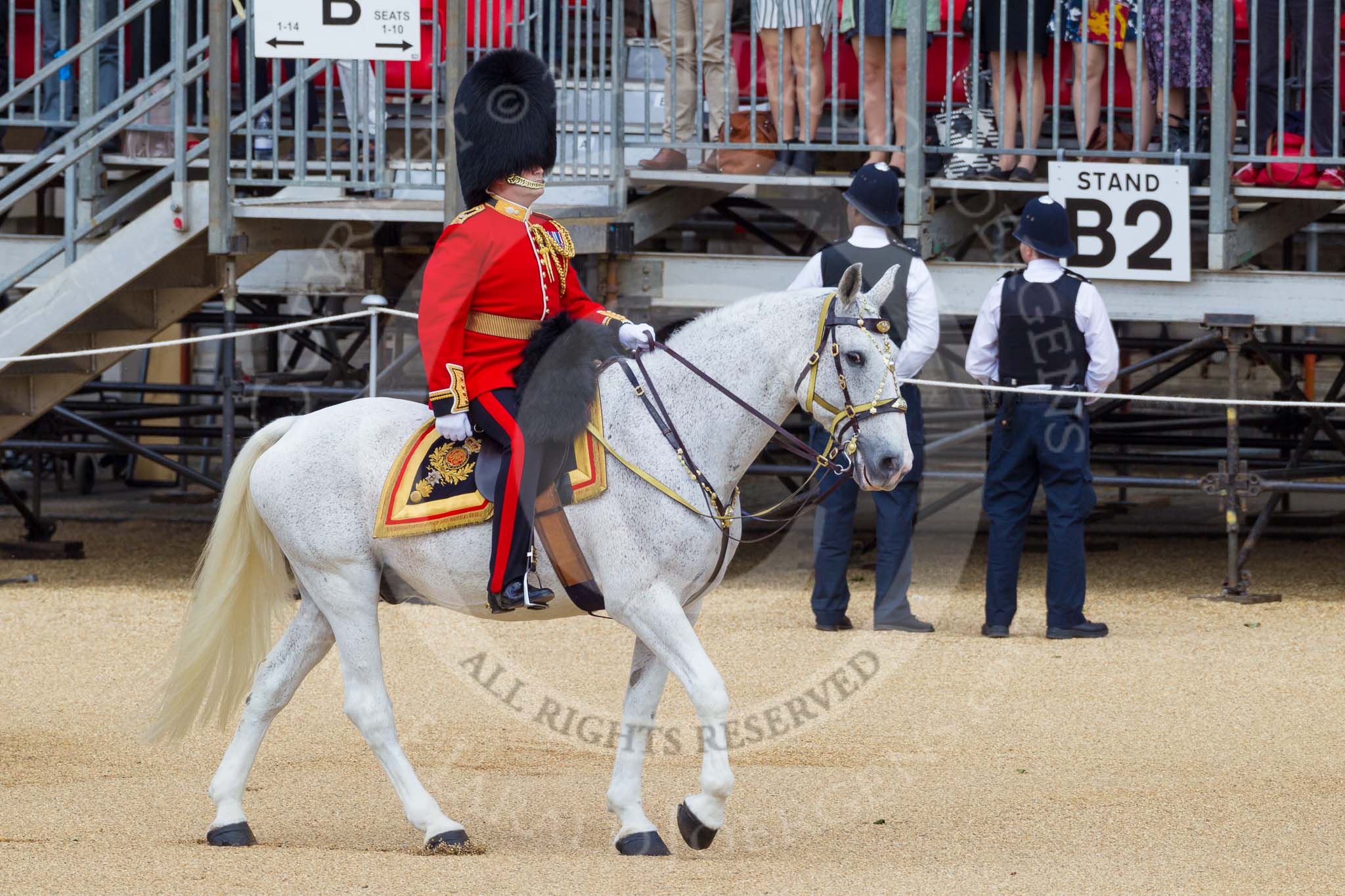 The Colonel's Review 2015.
Horse Guards Parade, Westminster,
London,

United Kingdom,
on 06 June 2015 at 10:56, image #164