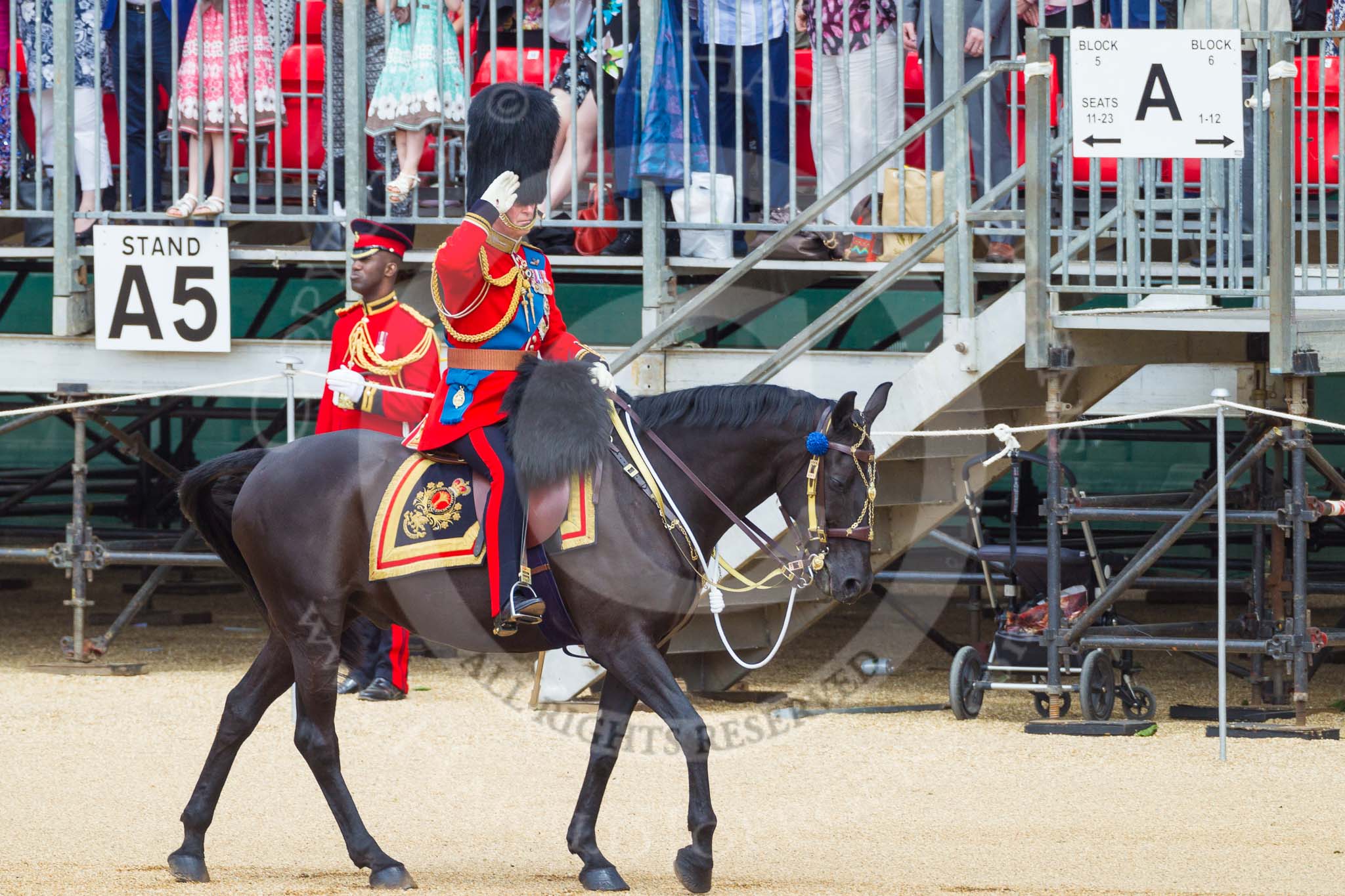 The Colonel's Review 2015.
Horse Guards Parade, Westminster,
London,

United Kingdom,
on 06 June 2015 at 10:58, image #180