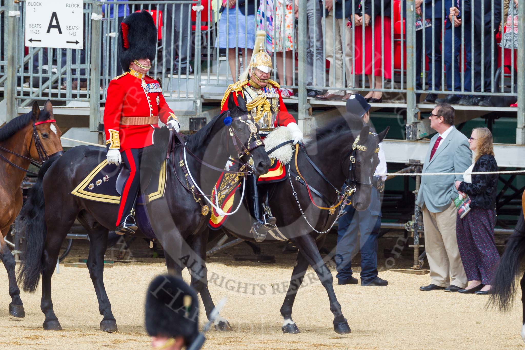 The Colonel's Review 2015.
Horse Guards Parade, Westminster,
London,

United Kingdom,
on 06 June 2015 at 10:59, image #184