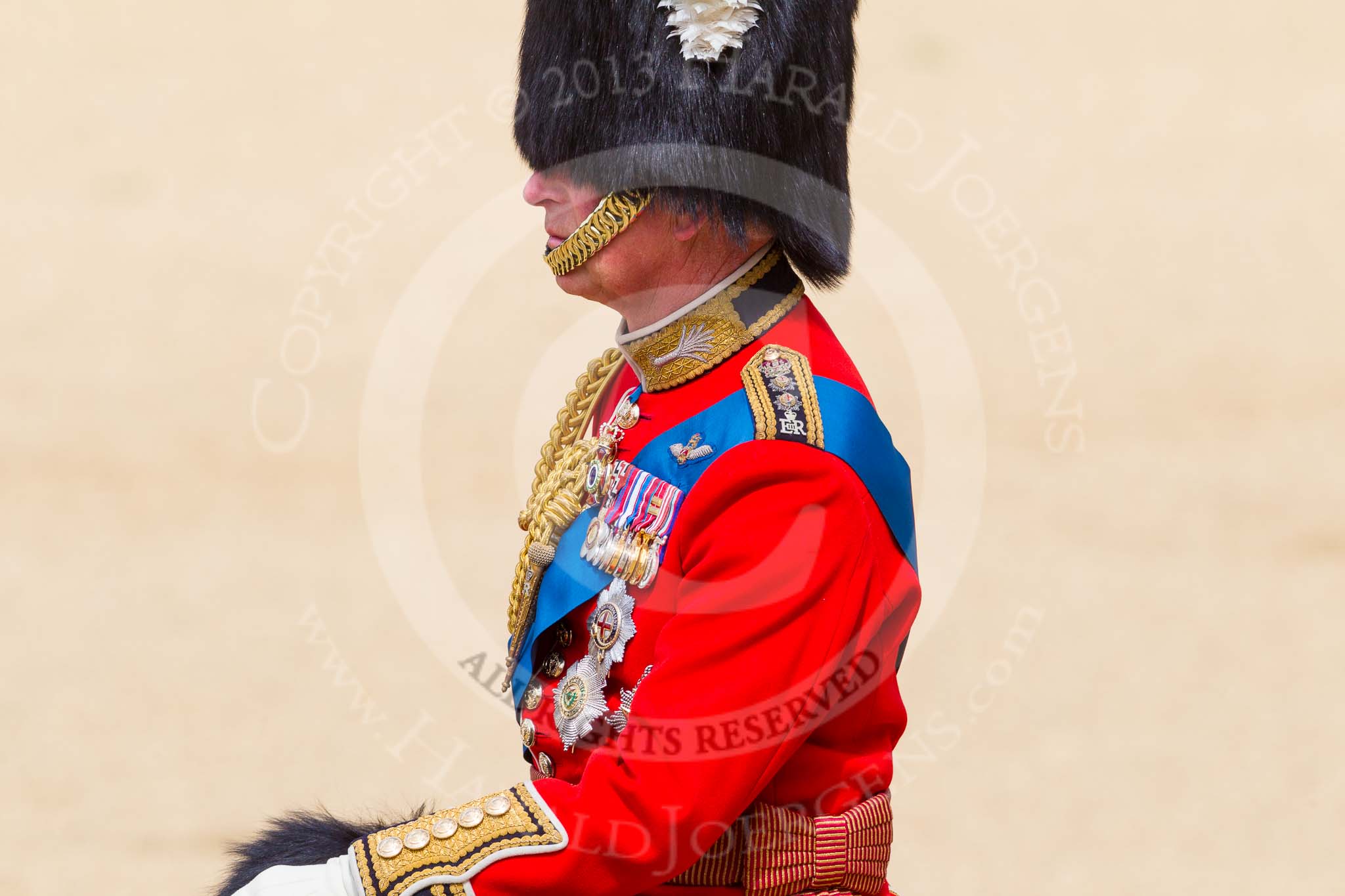 The Colonel's Review 2015.
Horse Guards Parade, Westminster,
London,

United Kingdom,
on 06 June 2015 at 11:00, image #195