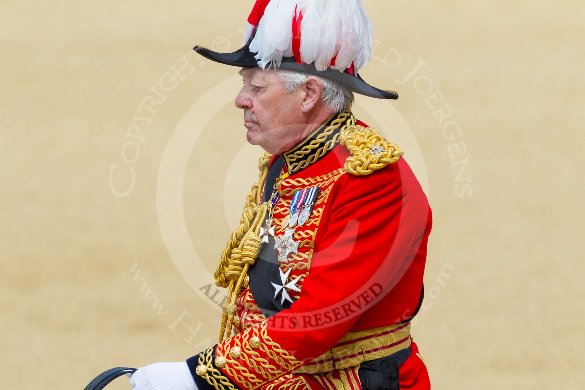 The Colonel's Review 2015.
Horse Guards Parade, Westminster,
London,

United Kingdom,
on 06 June 2015 at 11:00, image #196