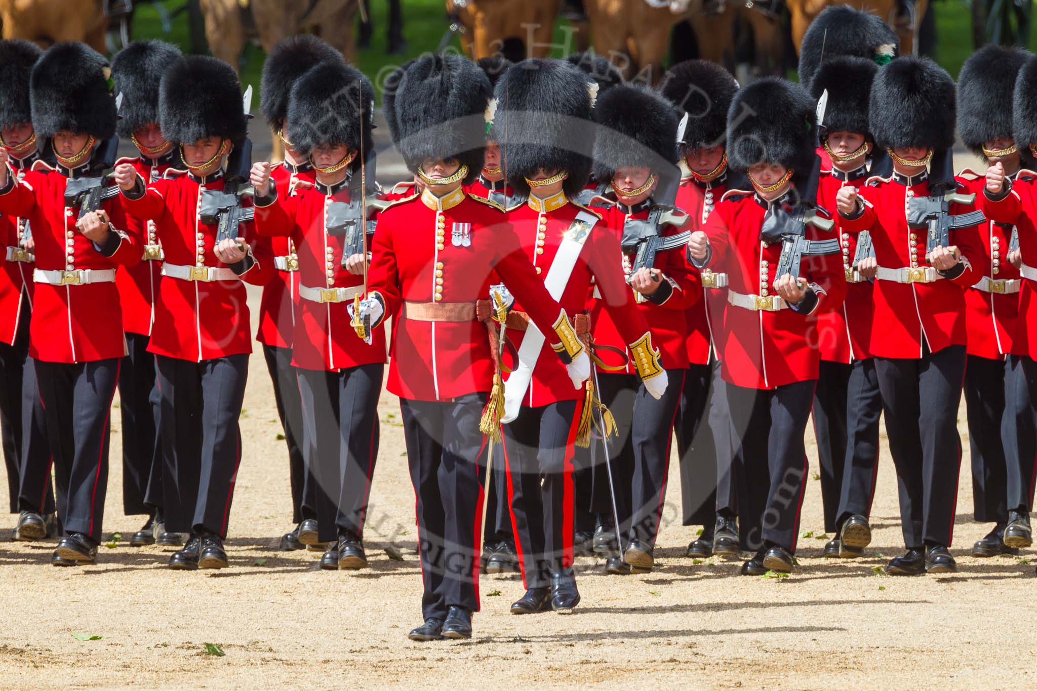 The Colonel's Review 2015.
Horse Guards Parade, Westminster,
London,

United Kingdom,
on 06 June 2015 at 11:16, image #289