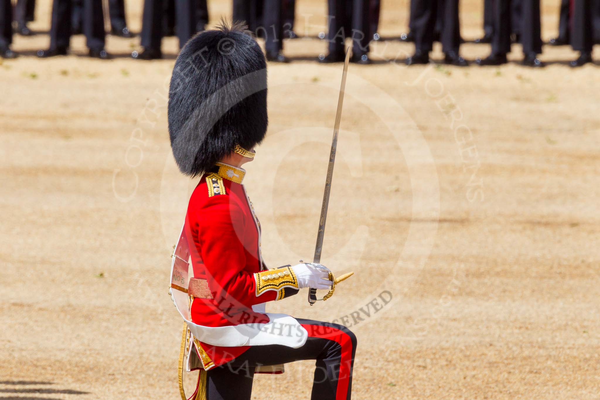 The Colonel's Review 2015.
Horse Guards Parade, Westminster,
London,

United Kingdom,
on 06 June 2015 at 11:17, image #297
