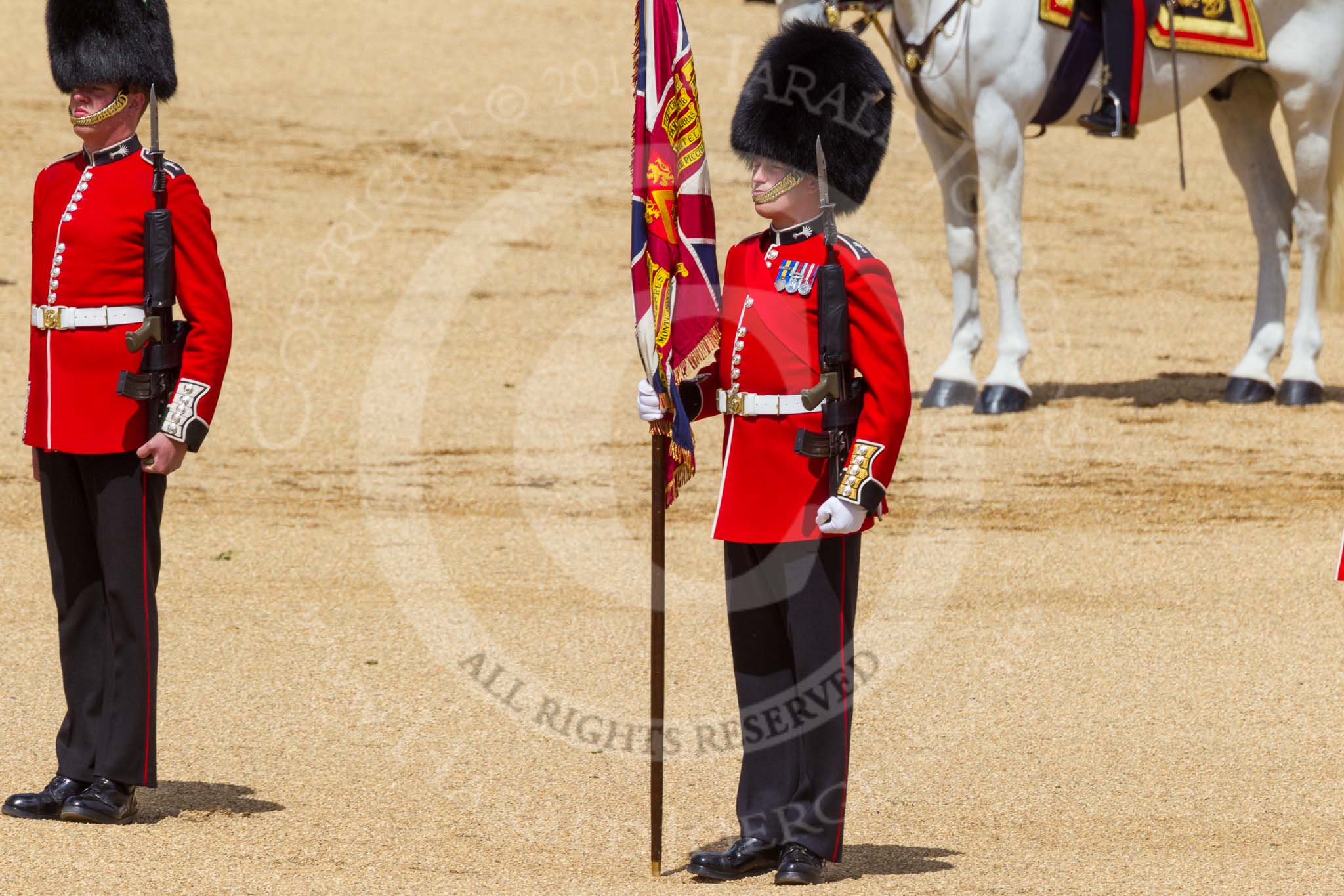 The Colonel's Review 2015.
Horse Guards Parade, Westminster,
London,

United Kingdom,
on 06 June 2015 at 11:18, image #301